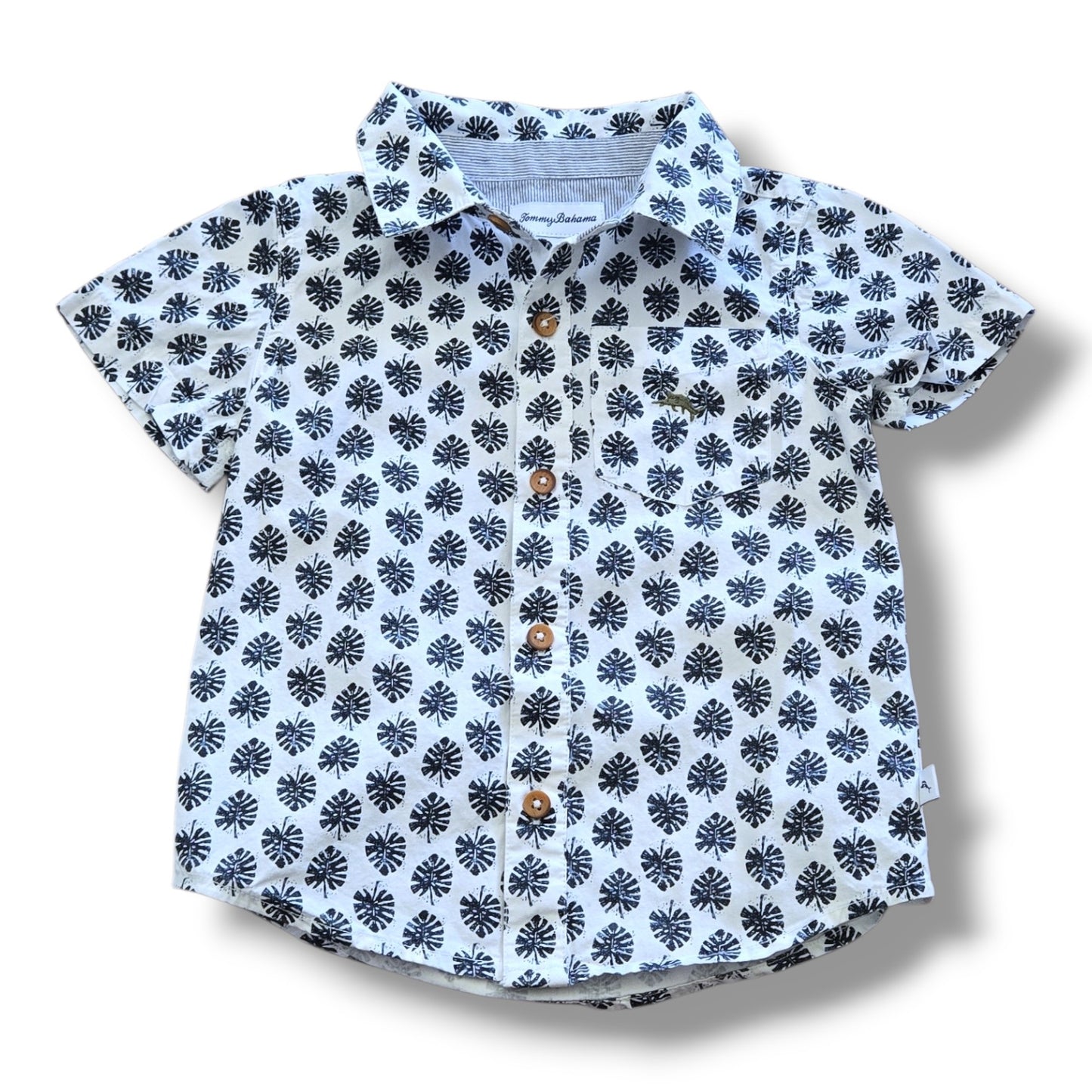 Tommy Bahama | 2T | T-Shirt | Pre-loved Quality