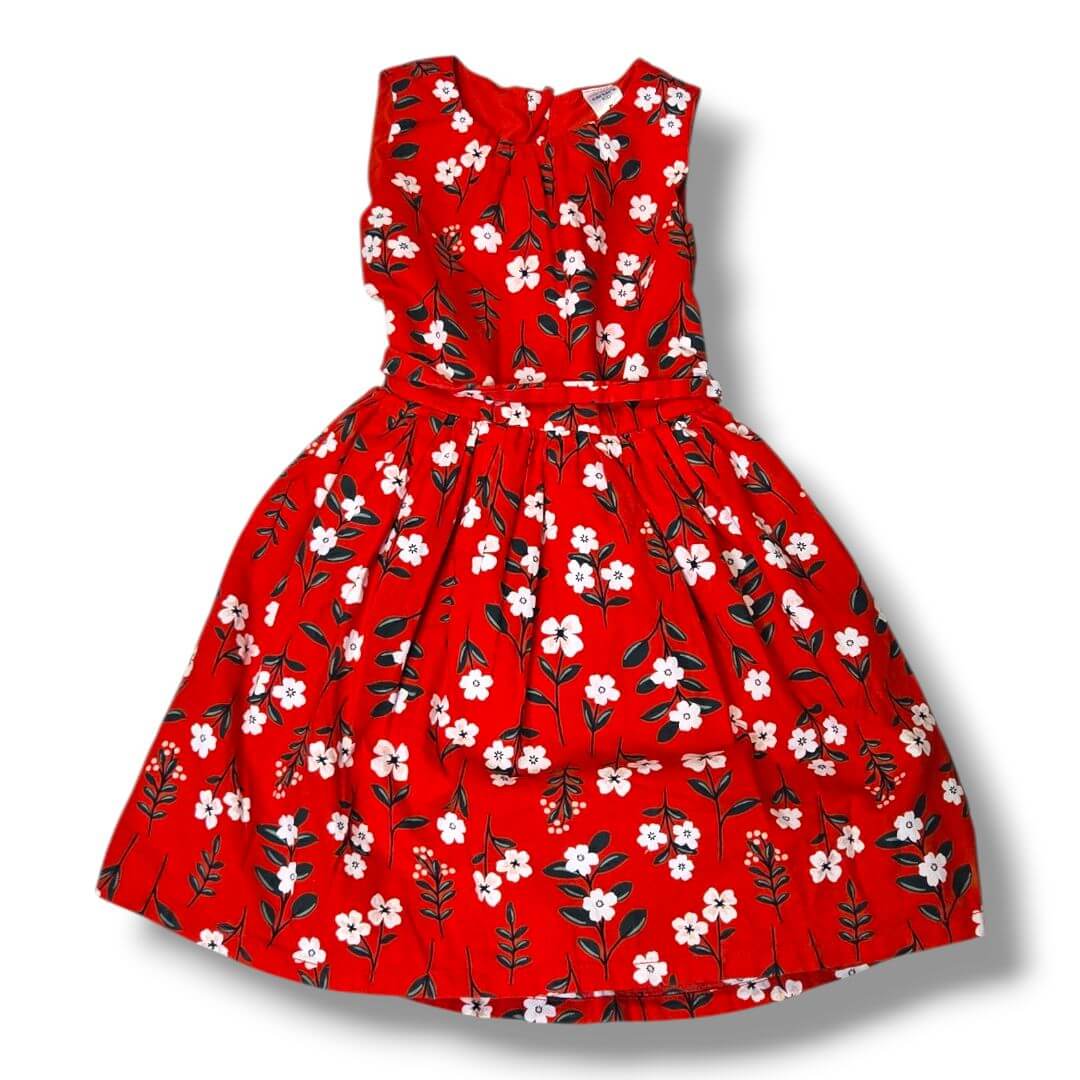 Multi-Color Carters Kids Dresses, 5Y