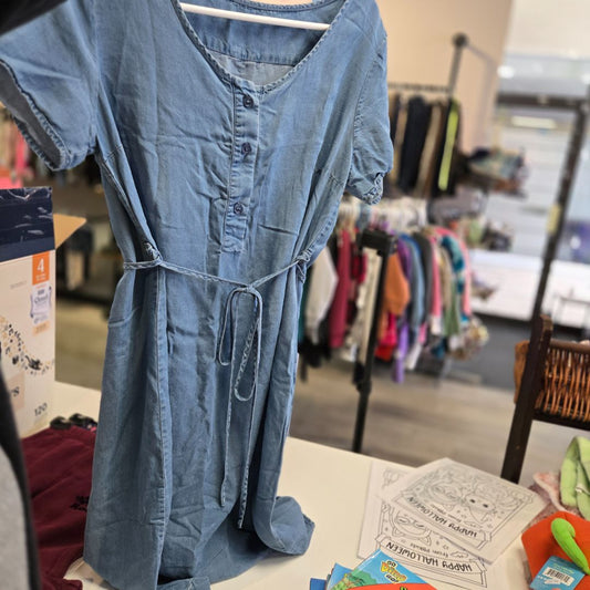 Blue Momzelle Maternity Dress, Small