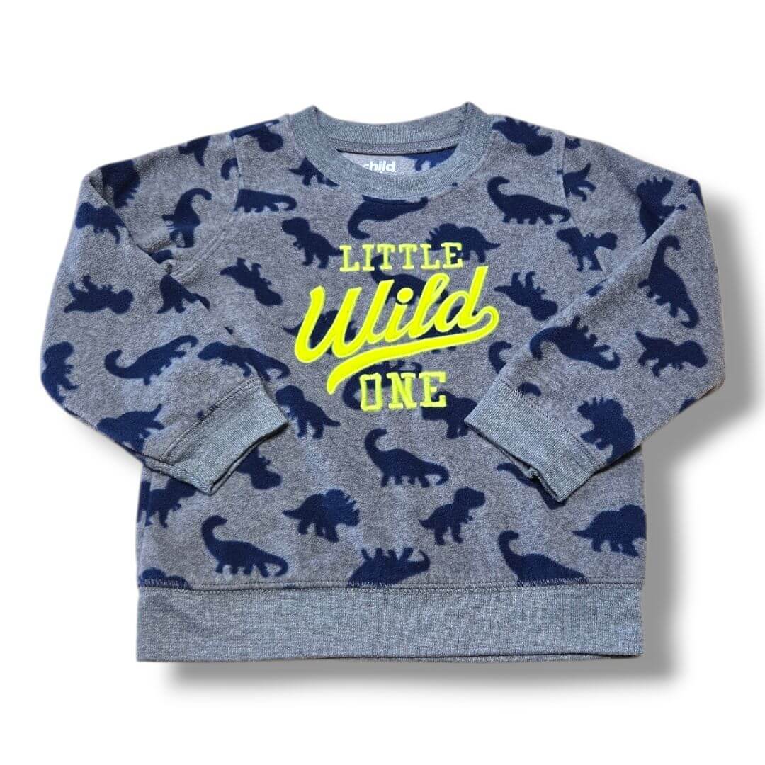 Child Of Mine By Carters | 24M | Top | Pre-Loved Quality