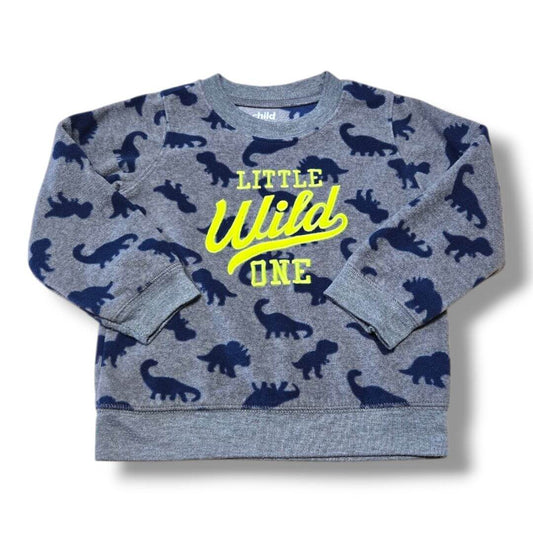 Child Of Mine By Carters | 24M | Top | Pre-Loved Quality