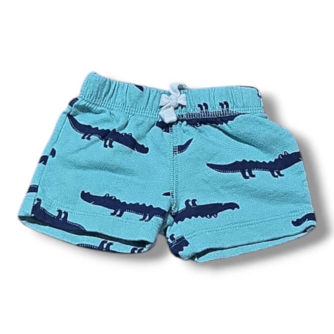 Preloved Carters Shorts – Gently Worn Kids Clothing