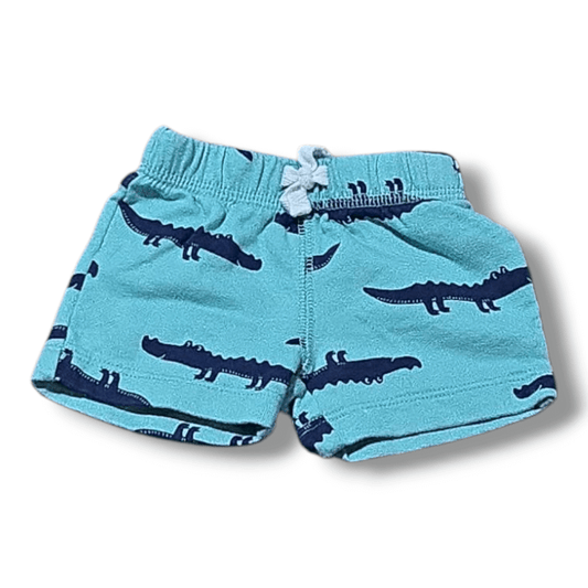 Preloved Carters Shorts – Gently Worn Kids Clothing