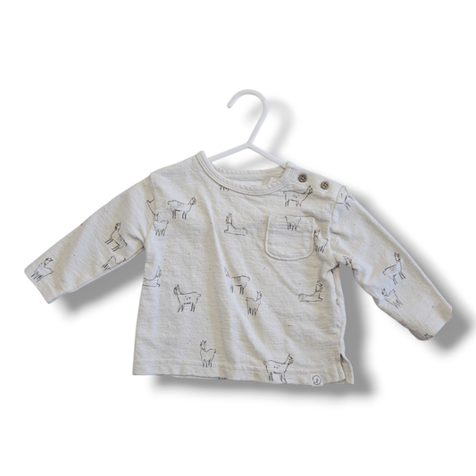 Little Planet By Carters | 3M | Top | Pre-loved Quality