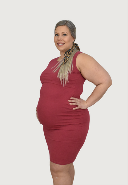 Brittany Maternity and Nursing Dress