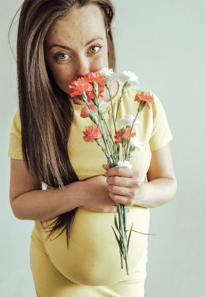 Terri Tee Shirt Maternity and Nursing Dress