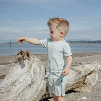 Lush Palms Bamboo T-Shirt and Shorts Toddler Set - Pink & Blue Kidz Clothing