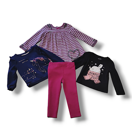 Set | Size 3T - Pink & Blue Kidz Clothing